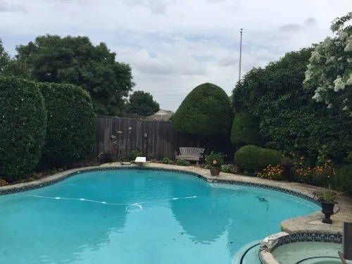 Reliable yard cleanup service in Dallas, TX by Do It Landscapes