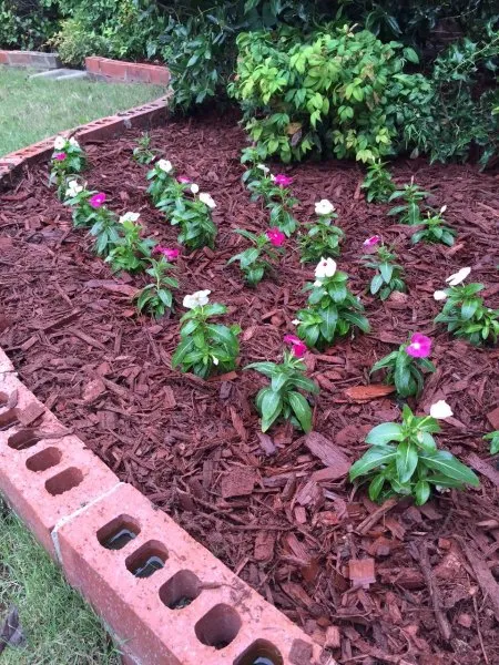 Local landscape installation for outdoor upgrades across Dallas, TX - Do It Landscapes