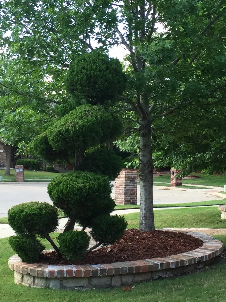 Expert landscape installation in Dallas, TX - Do It Landscapes
