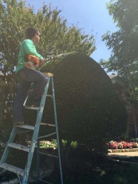 Reliable outdoor landscaping experts serving Dallas, TX - Do It Landscapes