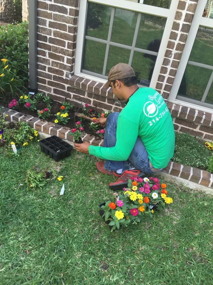 Top-rated yard cleanup service experts serving Dallas, TX - Do It Landscapes