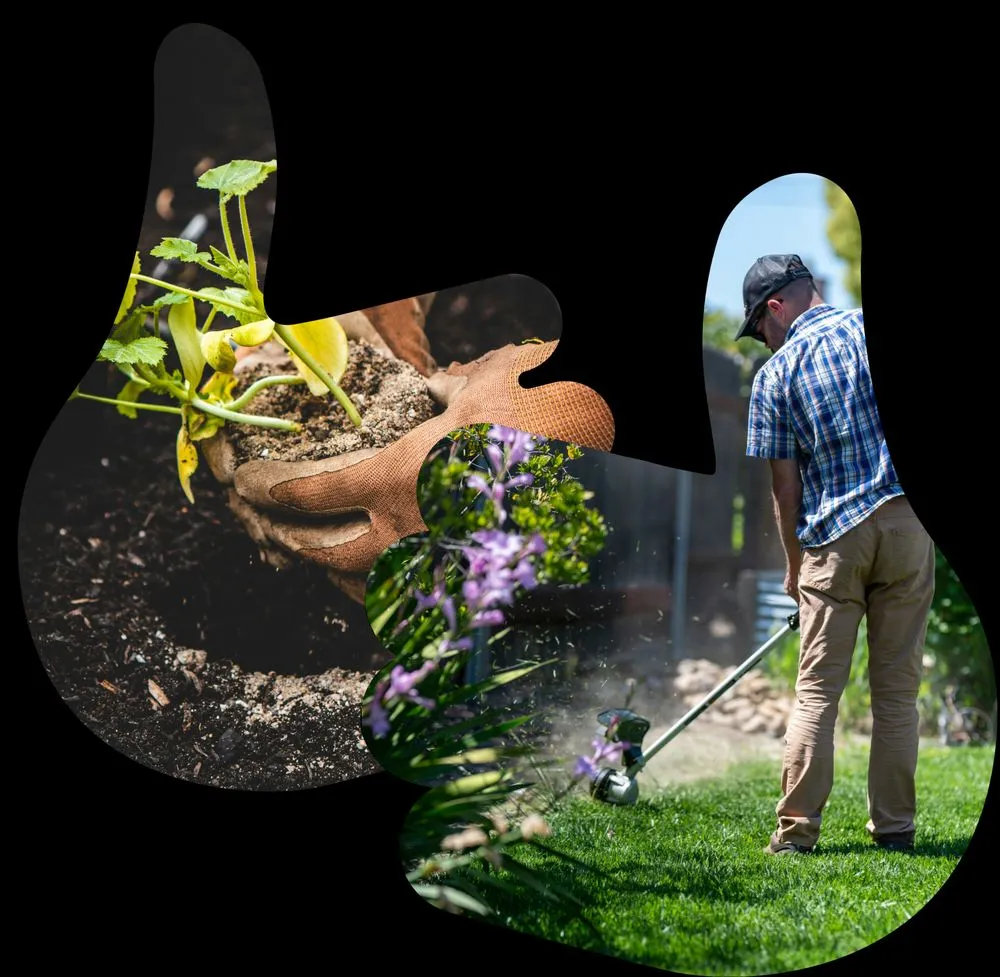 Professional residential landscaping experts serving Dallas, TX - Do It Landscapes