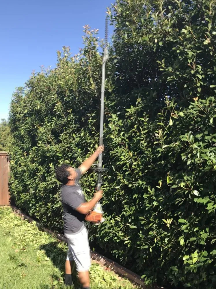 Custom landscape installation with custom design across Dallas, TX - Do It Landscapes