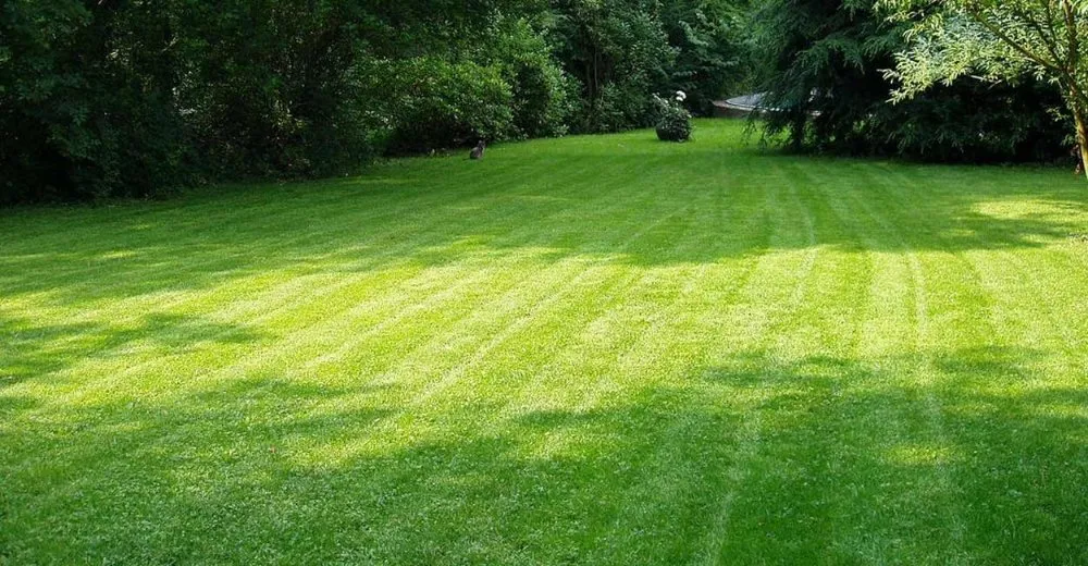 Local yard cleanup service in Coldwater, MI - Do it Lawncare