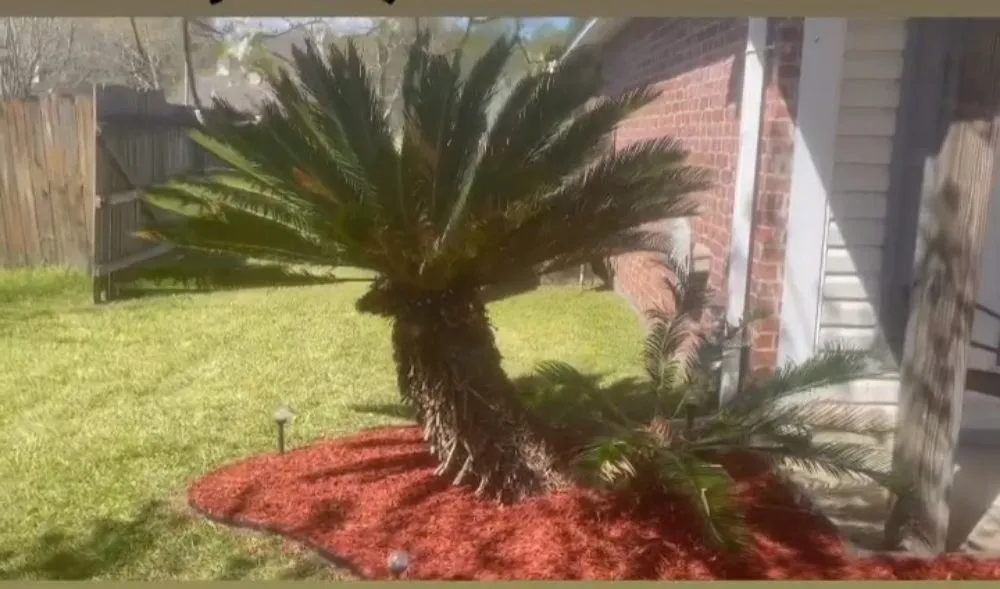 Top-rated landscape design in Baton Rouge, LA by Do It Right Flower Beds