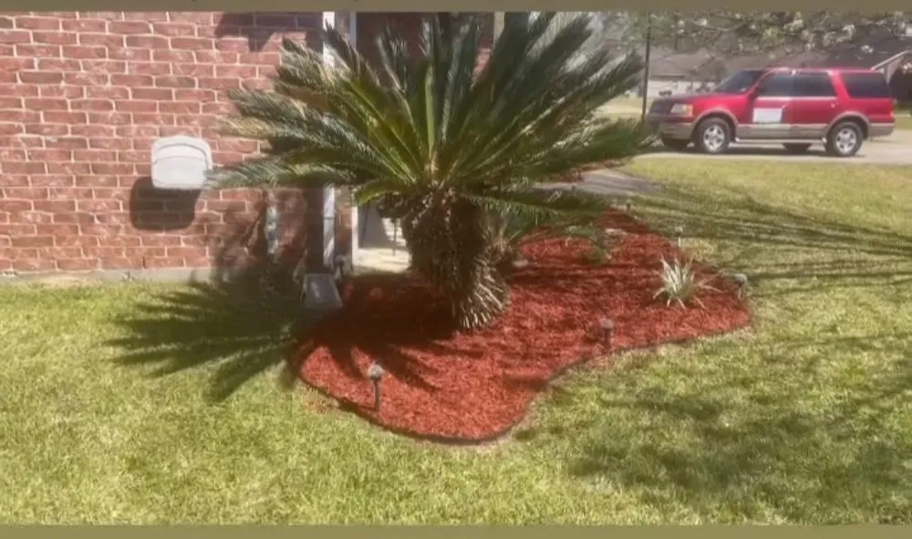 Top-rated yard cleanup service in Baton Rouge, LA - Do It Right Flower Beds