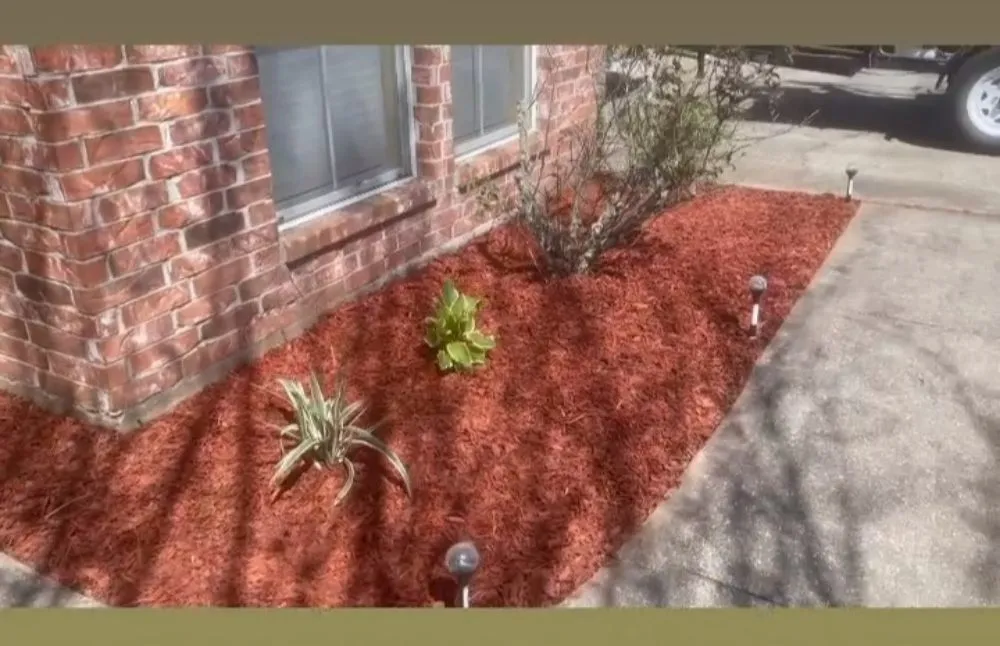 Professional lawn care service experts serving Baton Rouge, LA - Do It Right Flower Beds