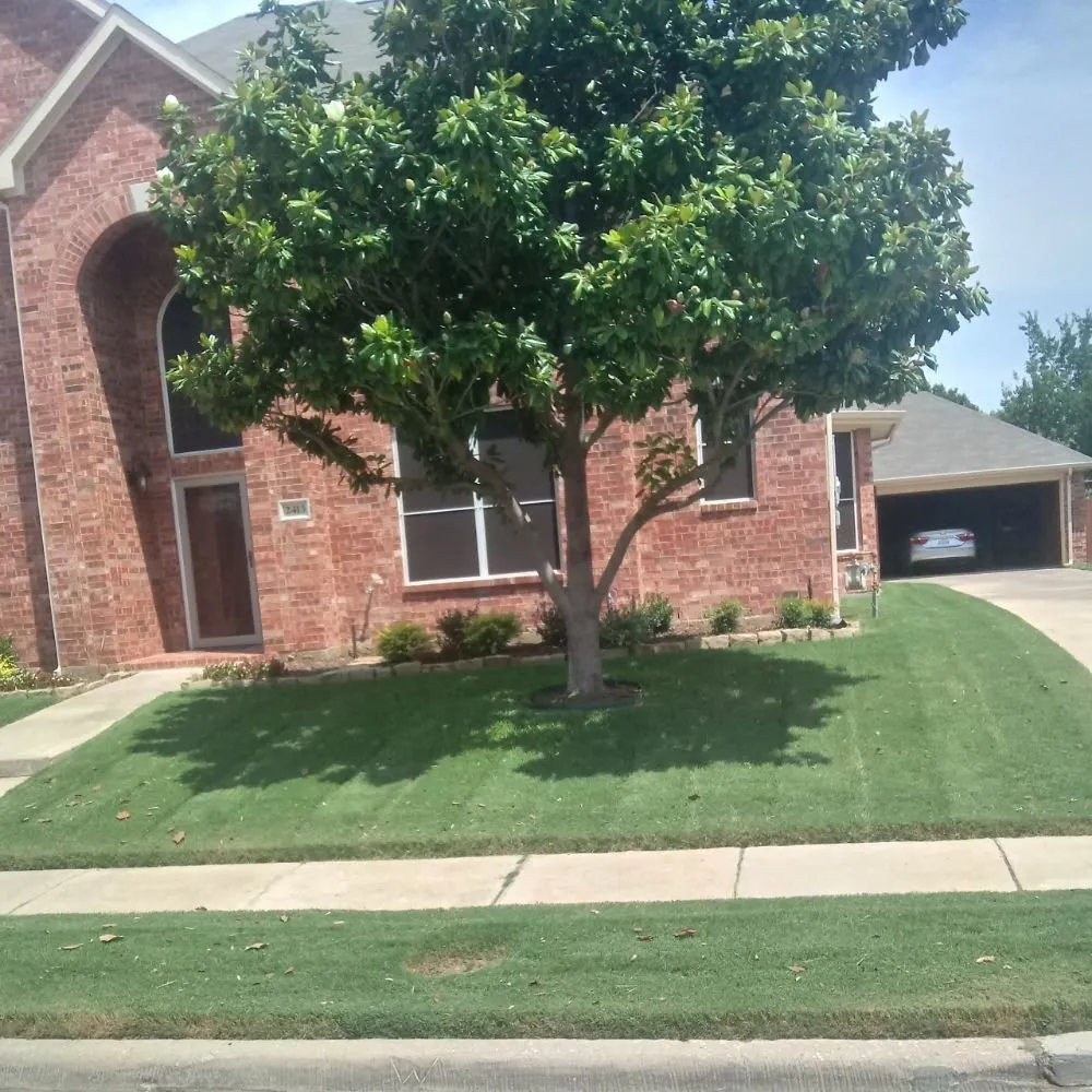 Local landscape design for year-round maintenance in Denton, TX by Do It Right Lawncare