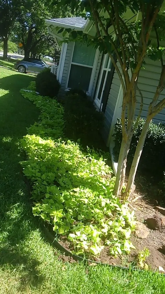 Affordable yard maintenance in Denton, TX - Do It Right Lawncare