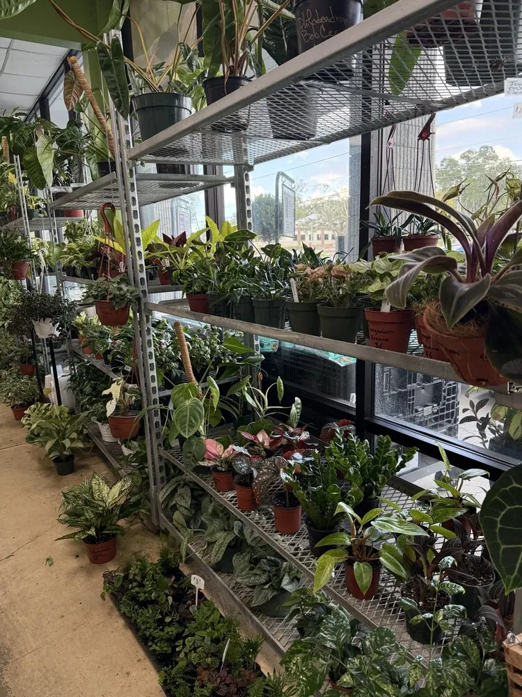 Reliable outdoor landscaping in Oviedo, FL - Do It Yourself Lawn and Pest