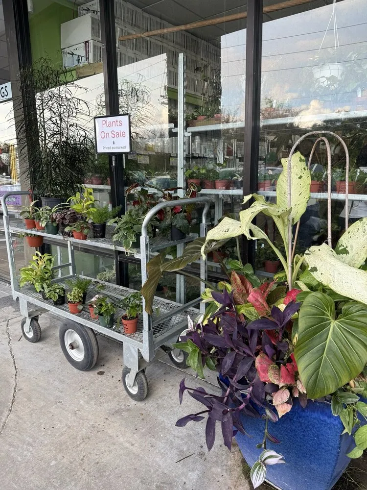 Professional residential landscaping for year-round maintenance across Oviedo, FL - Do It Yourself Lawn and Pest