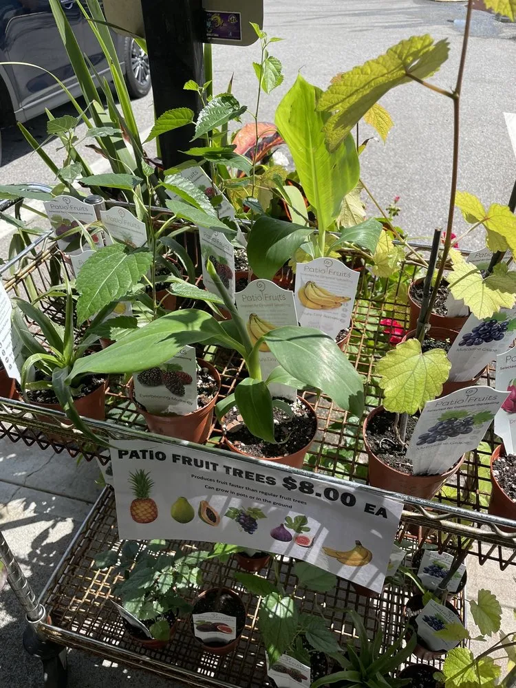 Custom landscaping services in Oviedo, FL by Do It Yourself Lawn and Pest