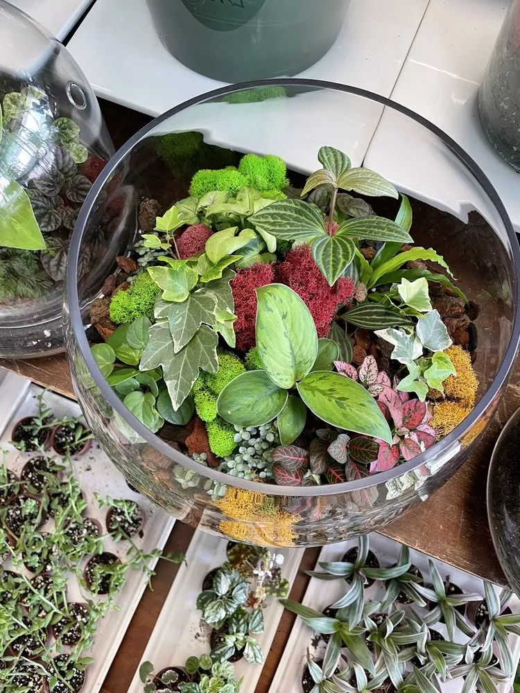 Professional outdoor landscaping in Oviedo, FL - Do It Yourself Lawn and Pest