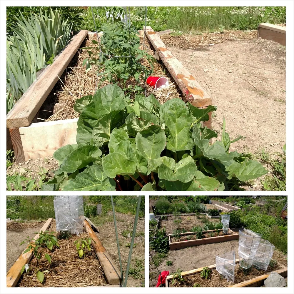 Top-rated landscape design experts serving Oviedo, FL - Do It Yourself Lawn and Pest