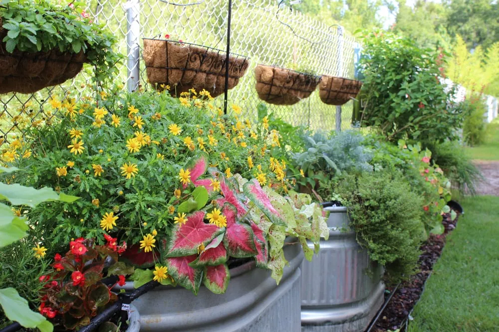 Top-rated garden landscaping for year-round maintenance across Oviedo, FL - Do It Yourself Lawn and Pest