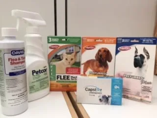 Professional landscape installation for homes in Tavares, FL by Do It Yourself Pest and Lawn Care