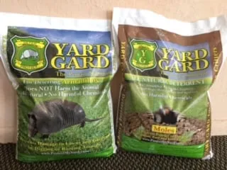 Affordable yard cleanup service in Tavares, FL - Do It Yourself Pest and Lawn Care