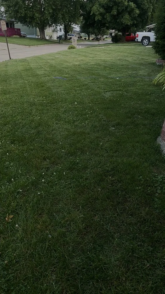 Top-rated lawn care service experts serving Tama, IA - DO Lawncare