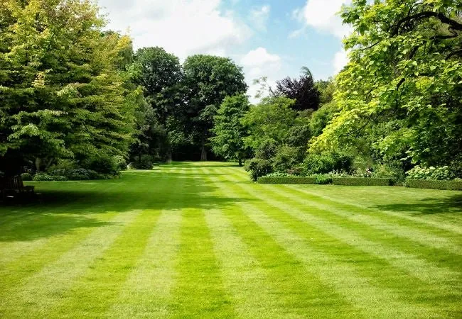 Custom yard maintenance for residential properties in Lima, OH by Do Mowing