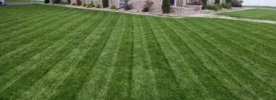 Local outdoor landscaping for beautiful yards in Lima, OH by Do Mowing