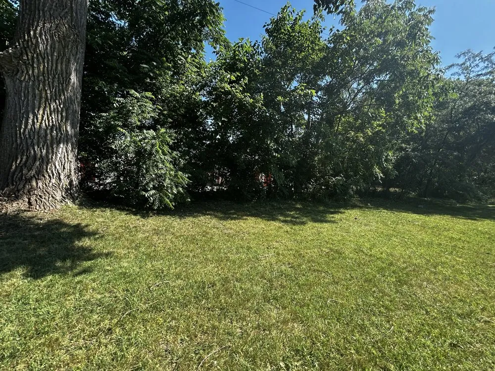 Top-rated lawn care service experts serving Gary, IN - D&O Property Clean