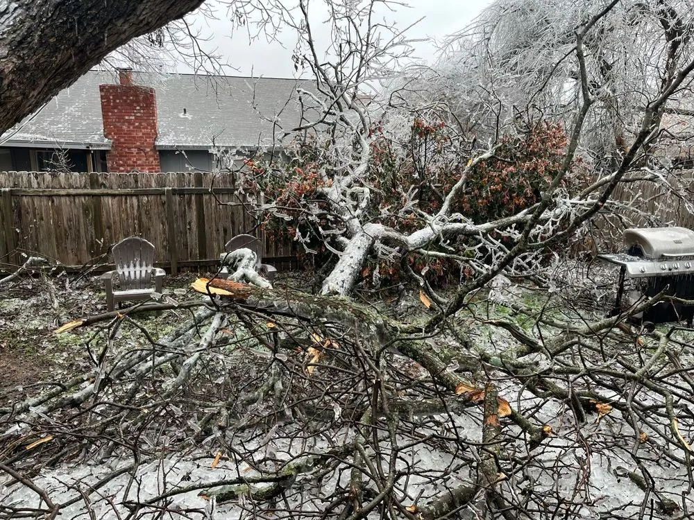 Top-rated residential landscaping in Cypress, TX - Do Right Landscaping and Tree Services