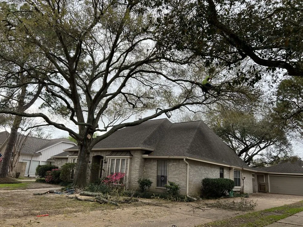 Top-rated yard maintenance in Cypress, TX by Do Right Landscaping and Tree Services