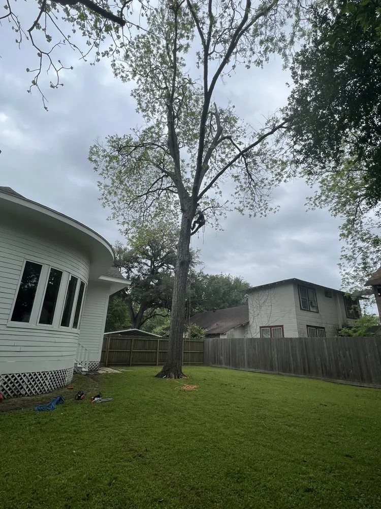 Local lawn mowing service experts serving Cypress, TX - Do Right Landscaping and Tree Services