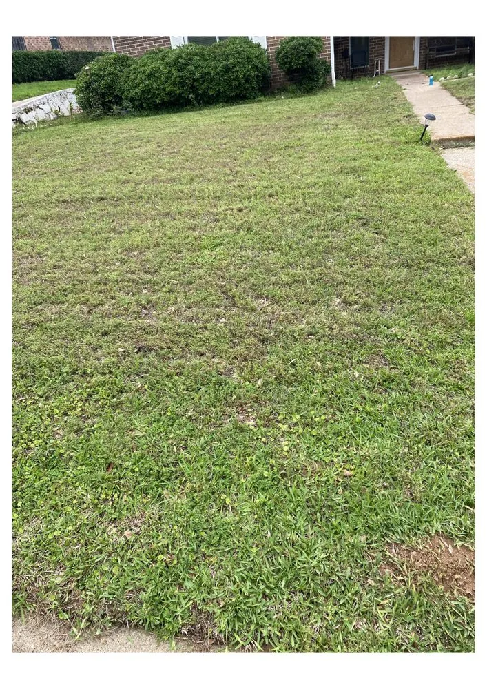 Reliable yard cleanup service in Tyler, TX by Do Right Services