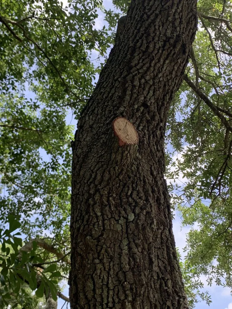 Top-rated residential landscaping for residential properties across Slidell, LA - Do U Right