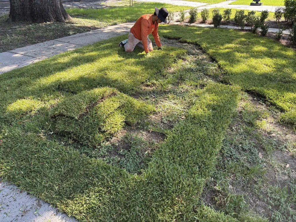 Top-rated yard maintenance for outdoor upgrades in Slidell, LA by Do U Right