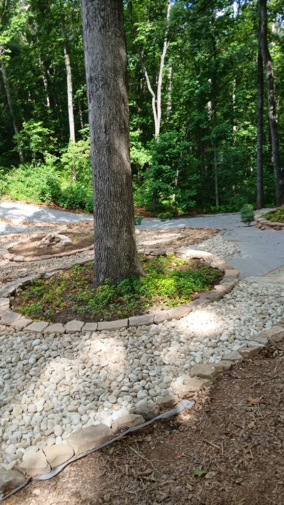 Custom yard cleanup service with custom design in Gainesville, GA by Do You Even Mow Bro