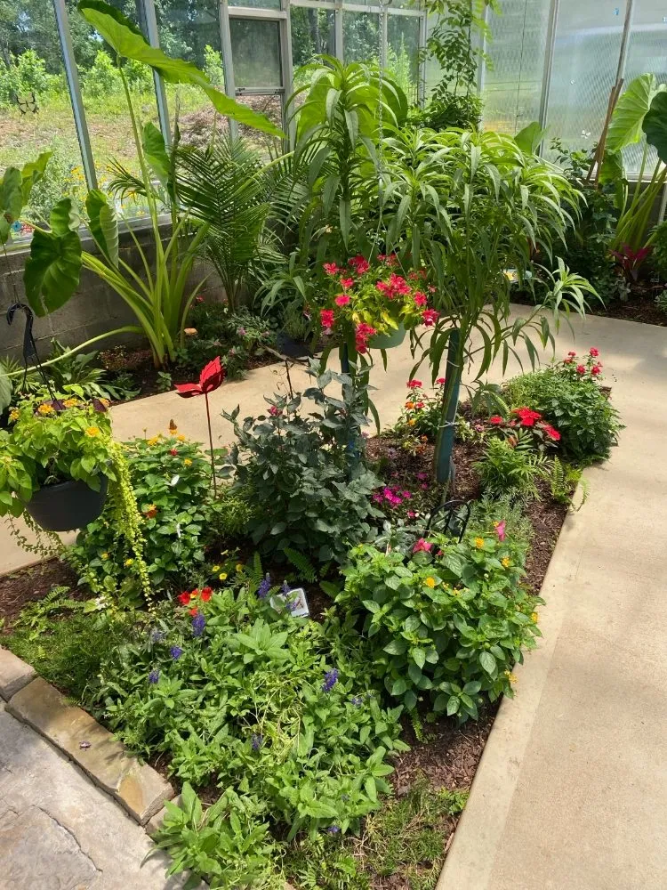 Trusted residential landscaping for year-round maintenance across Gainesville, GA - Do You Even Mow Bro