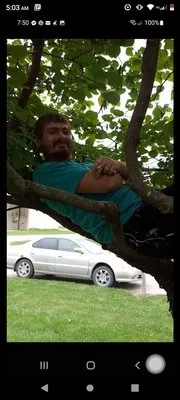 Dobbins & Lynn Mowing and Yard Cleaning Logo