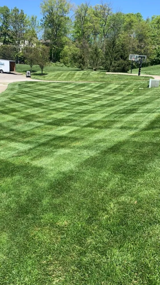 Reliable yard cleanup service in Lawrenceburg, IN by Dobby’s Lawn Care