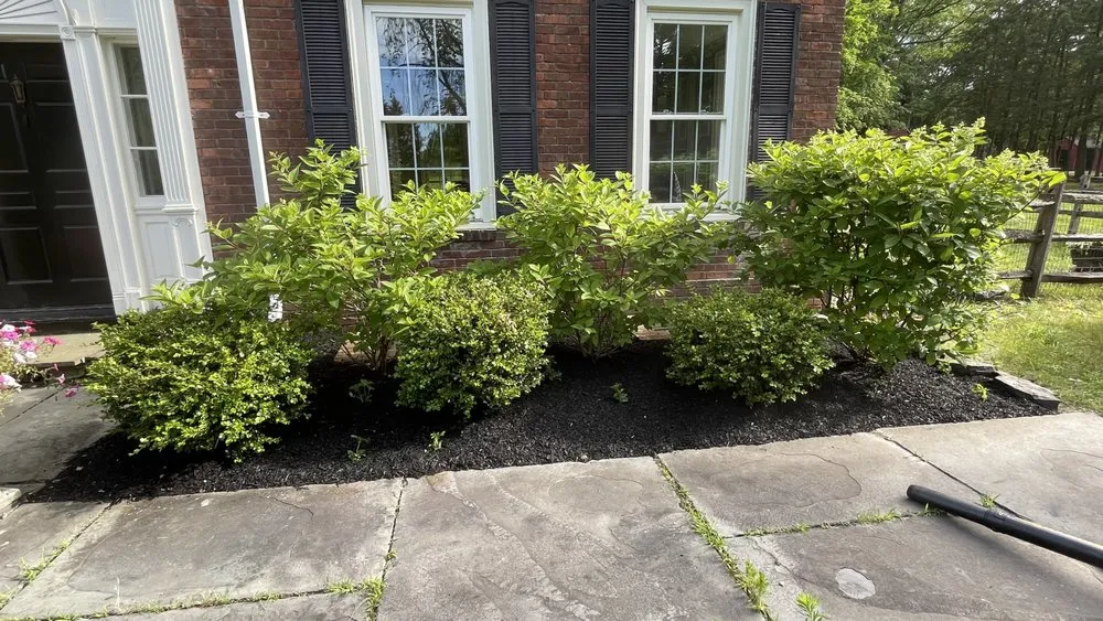 Top-rated lawn care service near you in Troy, NY by Dobert’s landscaping