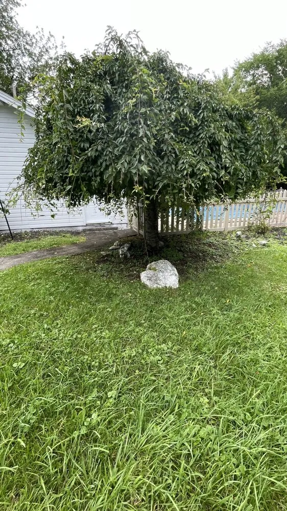 Professional yard cleanup service with custom design across Troy, NY - Dobert’s landscaping