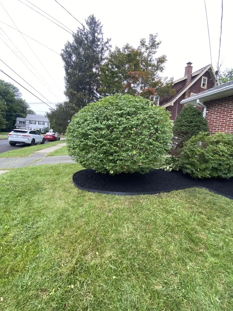 Expert lawn care service for outdoor upgrades in Troy, NY by Dobert’s landscaping