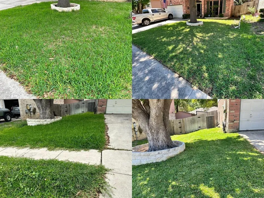 Top-rated yard cleanup service in San Antonio, TX - Dobi General Contractors
