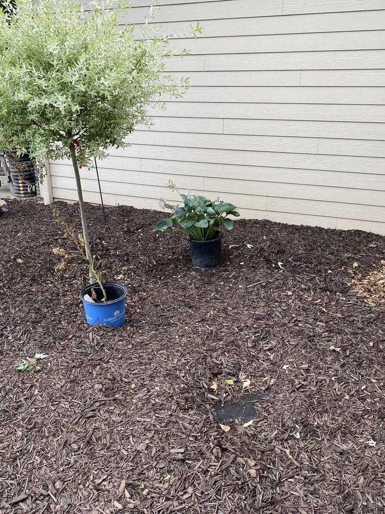 Local landscape installation in Ripon, WI - Dob's Quality Lawn Care