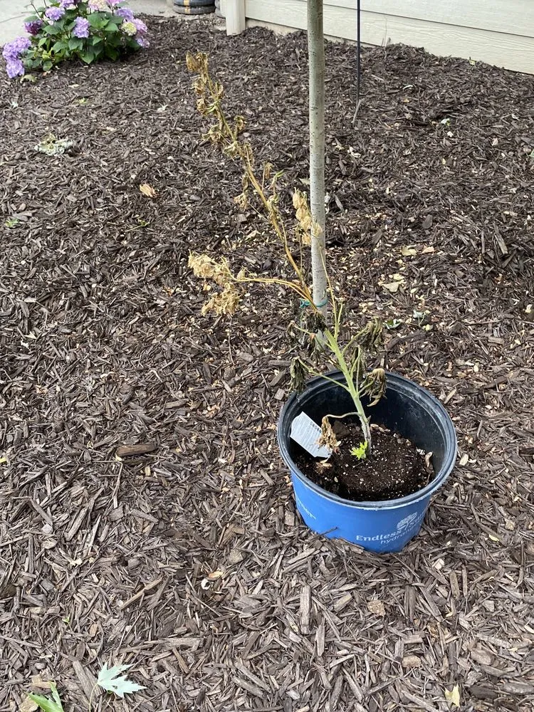 Affordable landscaping services experts serving Ripon, WI - Dob's Quality Lawn Care