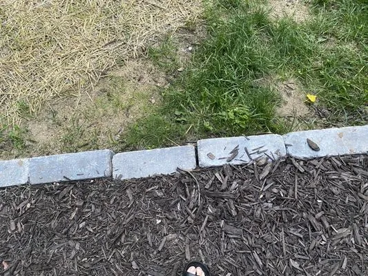 Dob's Quality Lawn Care Logo