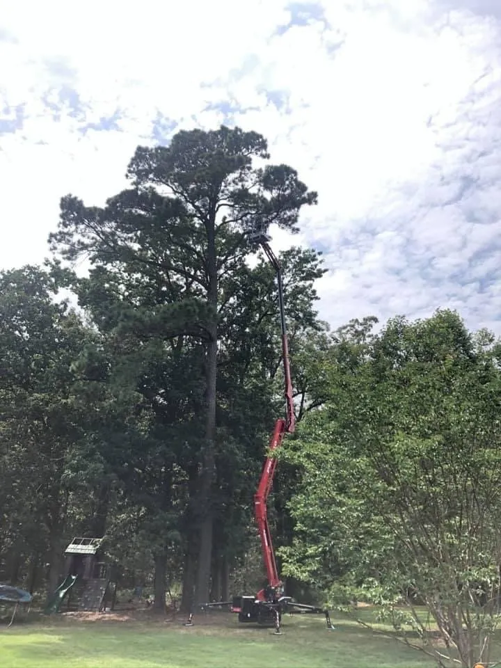 Expert yard cleanup service in Saint Michaels, MD - Dobson Lawn & Landscape