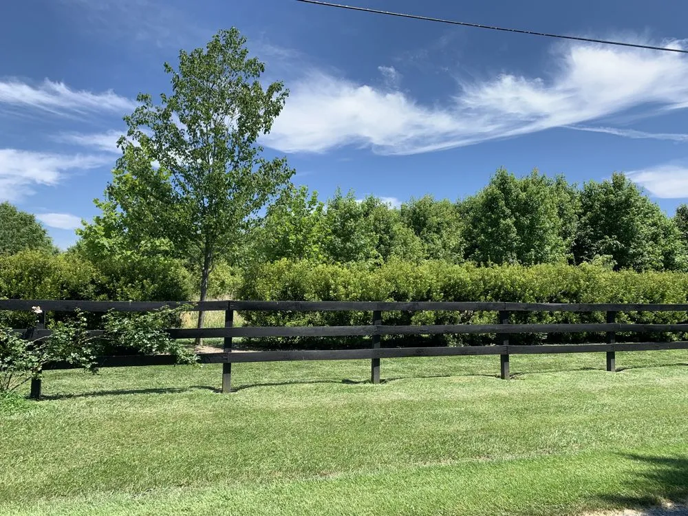 Reliable yard cleanup service experts serving Saint Michaels, MD - Dobson Lawn & Landscape