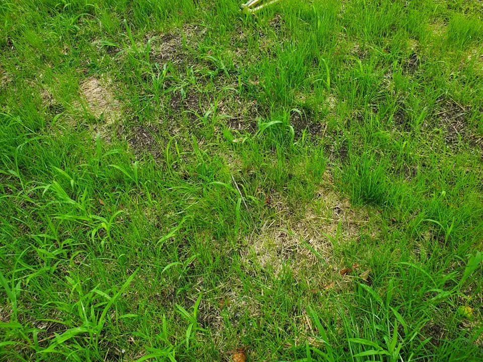 Local garden landscaping experts serving Lewiston, ME - Doc Green Landscaping