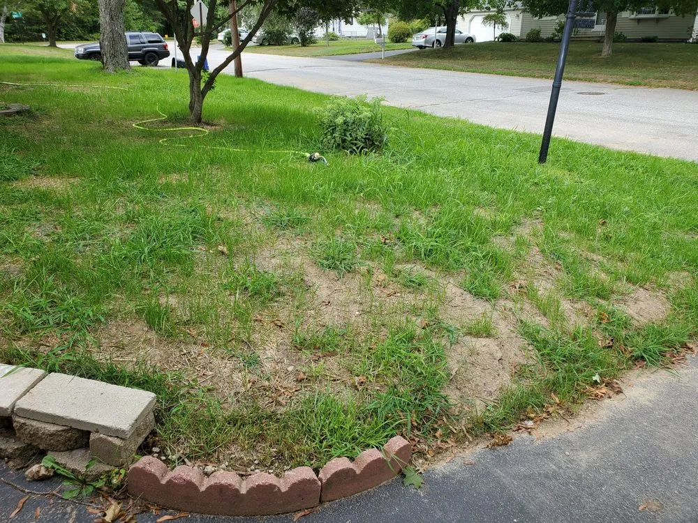 Affordable landscaping services experts serving Lewiston, ME - Doc Green Landscaping