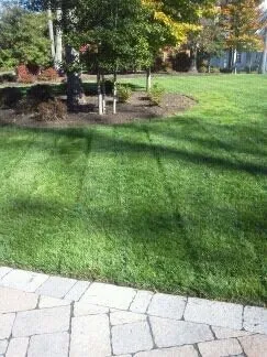 Expert lawn care service in Richmond, VA by DOC Landscaping