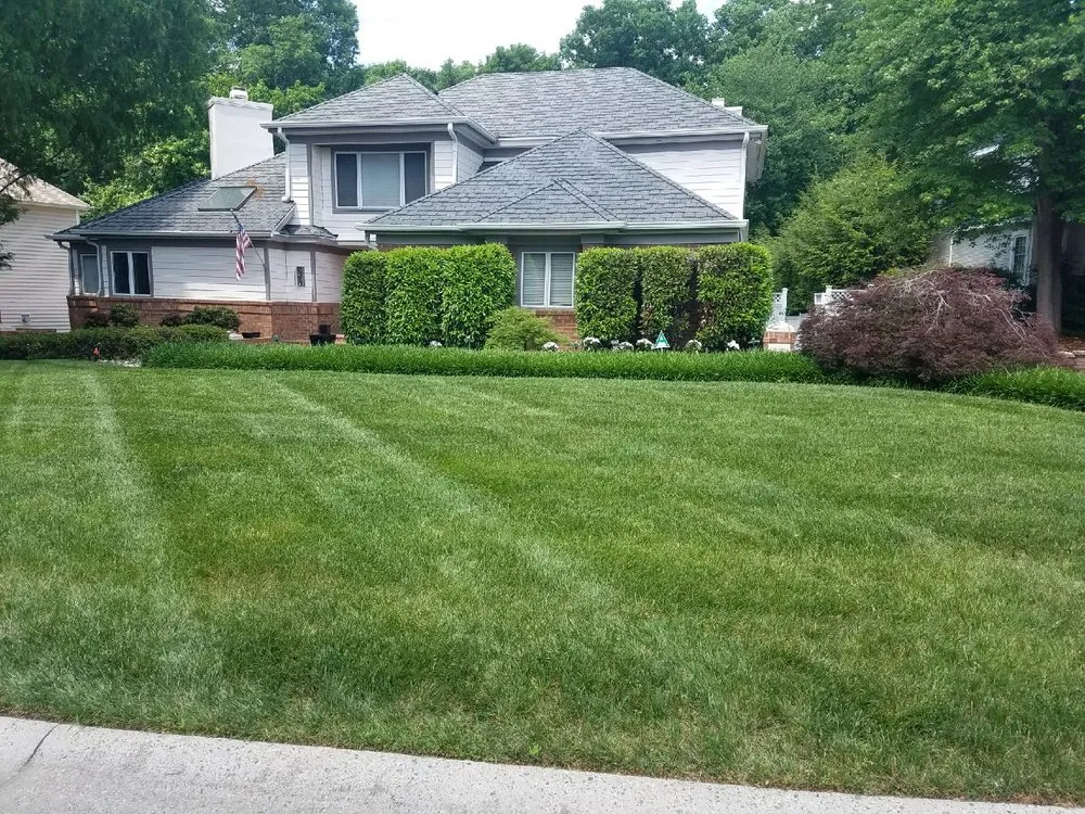 Custom yard cleanup service experts serving Richmond, VA - DOC Landscaping