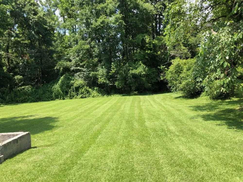 Expert yard cleanup service with custom design across Richmond, VA - DOC Landscaping