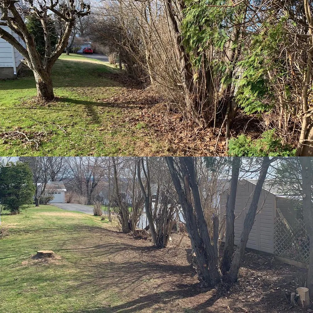 Professional lawn care service experts serving Amsterdam, NY - Dockstader Landscaping